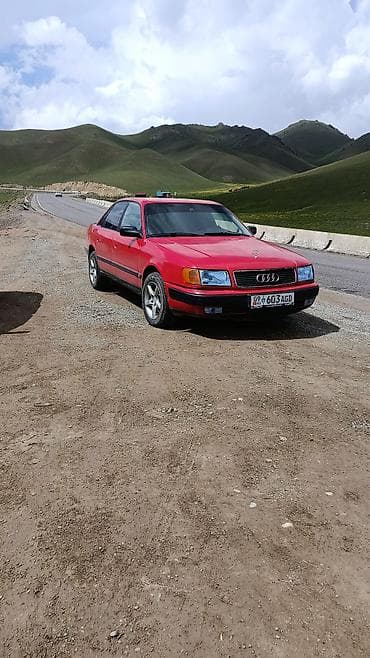 Audi 100: 1991 г., 2 л, Механика, Бензин, Седан