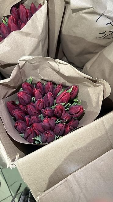 Цветы и букеты: Тюльпаны, срезка в крафт-упаковке. - Ассортимент оттенков — 3