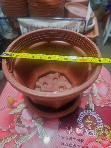 фрукт: Корзина — 1