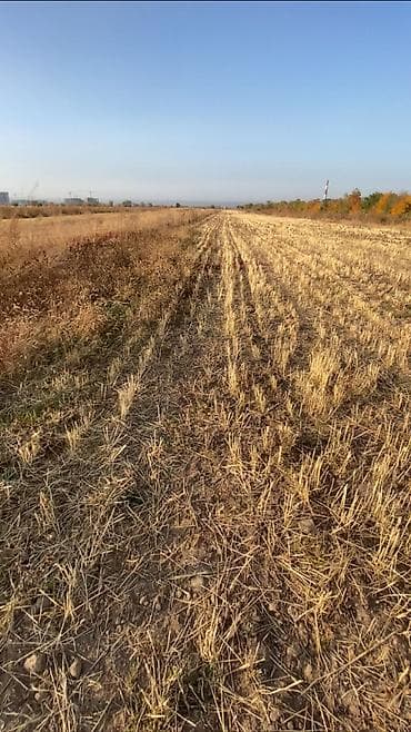 jalalabad: 155 соток, Для сельского хозяйства, Договор купли-продажи — 6