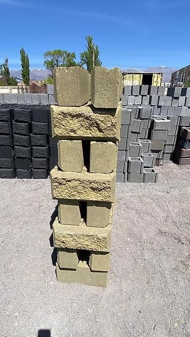 Сельхоз промышленность: Производство пескоблоков и декоративных стеновых блоков - Собственное — 7