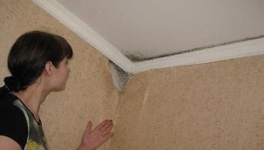 дезинфекция дома: Дезинфекция, дезинсекция, | Вирусы, микробы, | Кафе, магазины, Квартиры, Офисы — 1