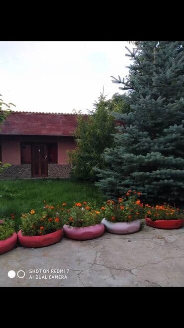 сдаю дом в военно антоновке: Дом, 40 м², 2 комнаты, Собственник, Старый ремонт — 12