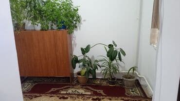 дома ак ордо: 100 м², 4 комнаты, Парковка, Забор, огорожен — 5