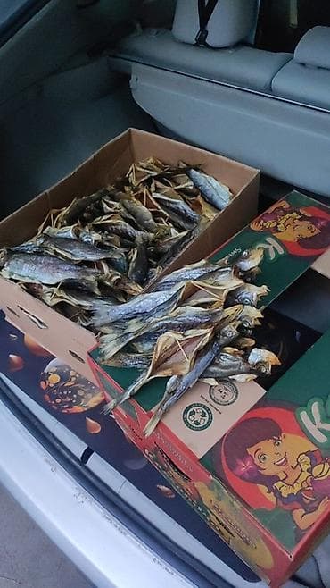 грибы эноки заказать: Форель копченая оптом и в розницу Отправка в регионы В большом — 2
