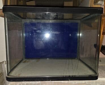 стекло аквариум: Аквариум угловой стеклянный с округлым передним стеклом — 5