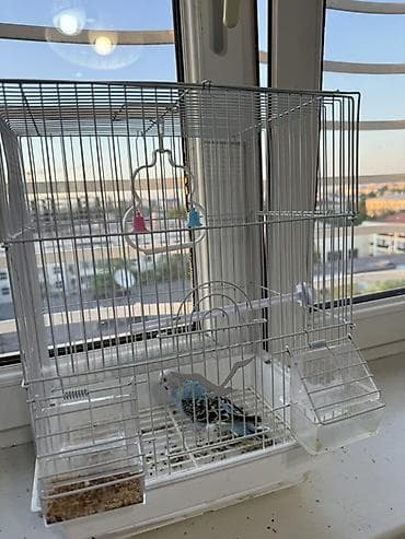 Клетка для волнистого попугая с аксессуарами - Материал — 2