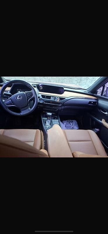 w221 5 5: Lexus UX: 2019 г., Автомат, Гибрид, Кроссовер — 4