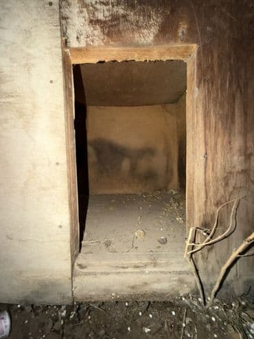 ХДФ: Будка для собаки из плит OSB/фанеры - Просторная будка прямоугольной — 2