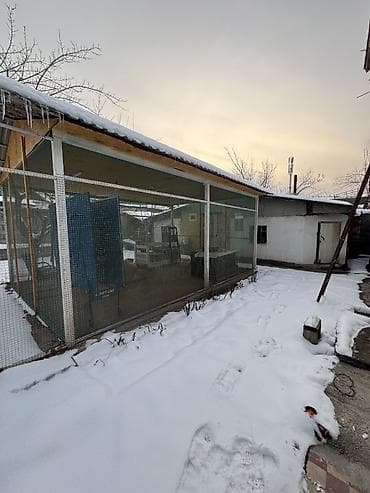 Продаю дом 📍в р-не Тоголока Молдо/Щербакова Характеристики: • — 4