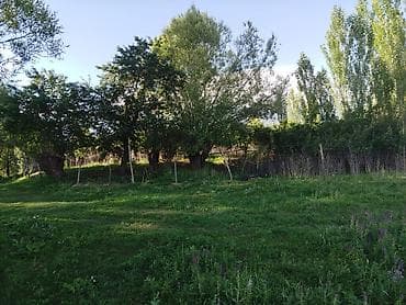 продам дом киргизия 1: 30 соток, Для бизнеса, Красная книга — 2