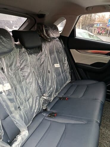 пружины нива: Weltmeister EX5, 2021 г., 60000 км, Передний, В наличии — 10