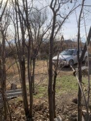 клубный дом карвен: 17 соток, Для сельского хозяйства, Красная книга — 5