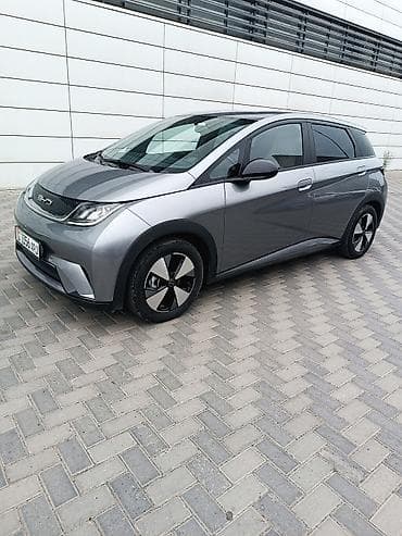 lt 46: BYD Dolphin: 2023 г., Электромобиль, Хэтчбэк — 3