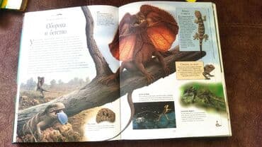 камуфляж форма бишкек: Продаю энциклопедию . 400 страниц в хорошем состоянии. твердый — 4