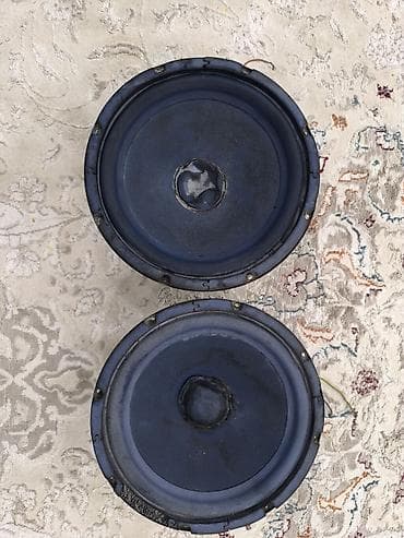 Пара динамиков (низко/среднечастотные), приблизительно 12" (30 см)