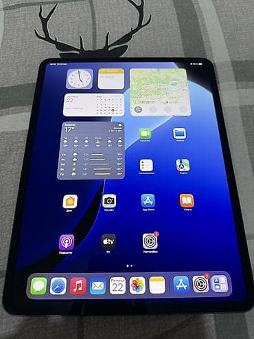 samsung 25s: Планшет, Apple, память 256 ГБ, 12" - 13", Wi-Fi, Классический цвет - Серый — 3