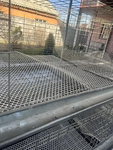 Собаки: Многоярусная клеточная батарея для птицы Высота 165 Ширина 142 — 4