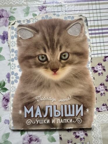 в конце они оба умрут сколько стоит в бишкеке: За все 500 сом! Все целое! Набор детских книг для самых маленьких — 2