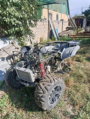 тир хацан: Квадроцикл Бензин, 420 куб. см, Взрослый — 1