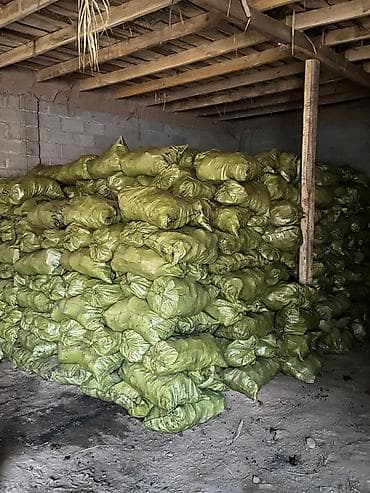 коптильня купить: Уголь каменный в мешках - Фракция крупная, ровные куски для — 3
