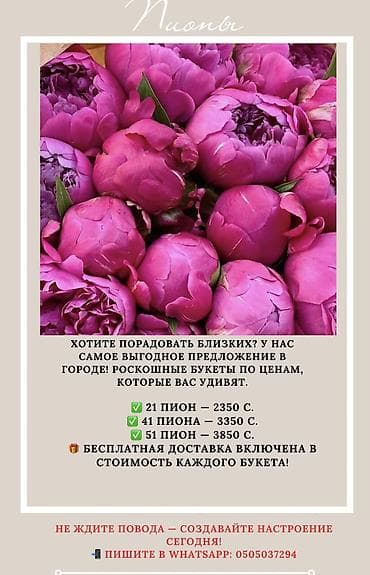 цветы пиона: Пионы — роскошные букеты насыщенно-розовых оттенков. Доступные — 1