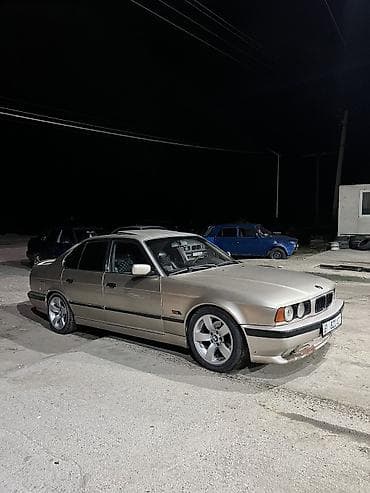 другие марки: BMW 5 series: 1994 г., 2.5 л, Бензин, Седан — 4