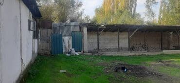 дом или квартира в бишкеке в аренду: Дом, 666666666 м², 5 комнат, Собственник — 25