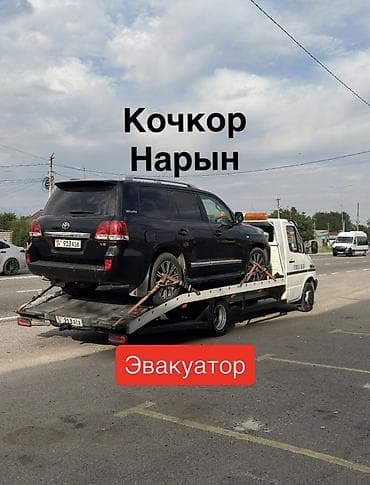 зимние обувь мужские: С лебедкой — 1