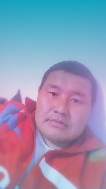 Спортивная куртка с молнией и высоким воротником - Цвет: красный с