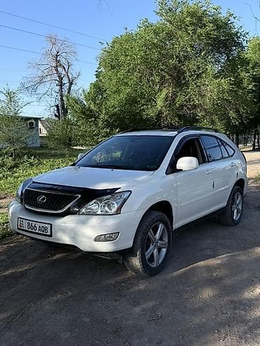 Lexus RX: 2004 г., 3.3 л, Автомат, Газ, Кроссовер