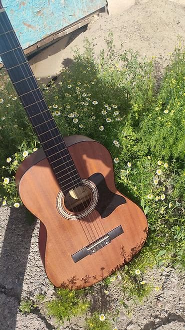 детский баян: Акустическая гитара Diduo, формат 4/4 (полноразмерная). - Тип — 2