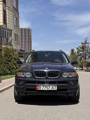 BMW X5: 2005 г., 3 л, Автомат, Бензин, Кроссовер