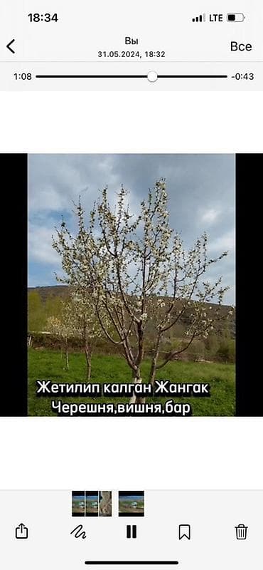 дом участка: 60 соток — 10