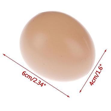 Аквариумдар: Подкладные яйца куриные коричневые качественные — 4