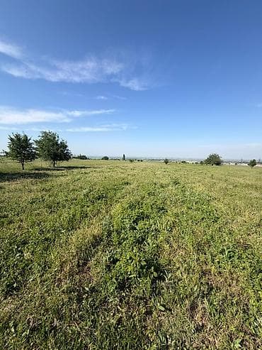 село чокморова: 1 соток, Для сельского хозяйства — 2