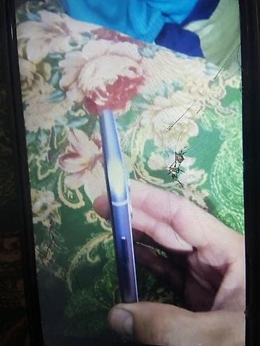 nintendo 2ds: IPhone 11, 128 ГБ, Белый, Защитное стекло — 2