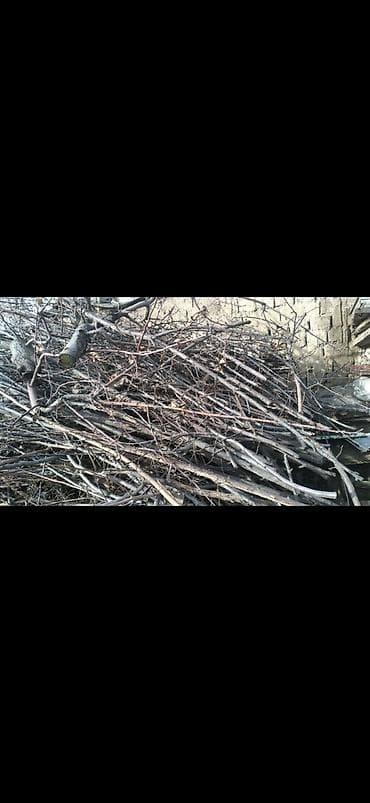 Пикник үчүн товарлар: Отун — 1