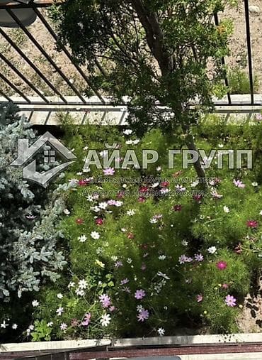 Кыймылсыз мүлк: ✅ СРОЧНО!!! Продается гостевой дом на Иссык-Куле 📍с.Чон-Сарыой (между — 2