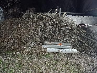 бекер берилет: Отдам бесплатно дрова- тополь,Терек САМОВЫВОЗ.Лебединовка Выйдет — 1