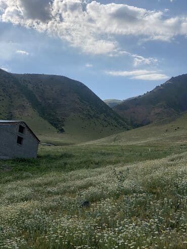 продаю дом ак босого: Үй, 120 кв. м, 6 бөлмө, Менчик ээси, Евро оңдоо — 24