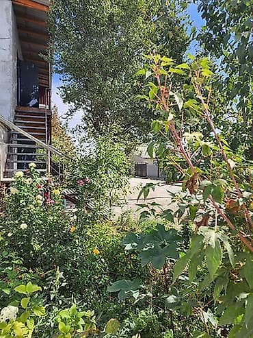 сдаю времянку ак босого: 50 м², 2 комнаты — 5