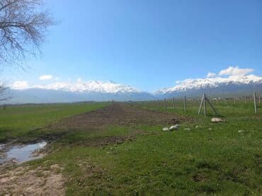 гостиница бишкек рядом: 150 соток, Для сельского хозяйства — 2