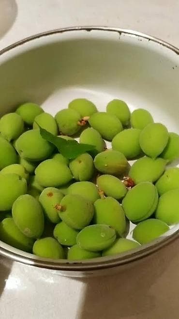 горам: Продаю зелёный орук Горо,сатам 250 кг озунор терсенер 150 — 1