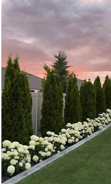 Iveco: Ландшафтный дизайн и озеленение от Mir’Green Профессиональное — 5