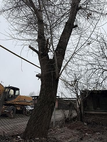 демонтаж дома: Сатылат келишим баада. Точна алып кетем дегендер чалгыла жазгыла — 4