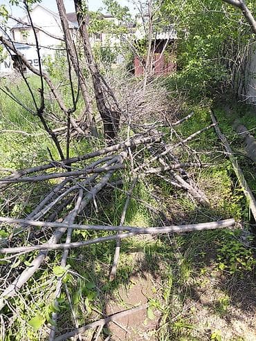 фруктовые дрова: Дрова Фруктовая древесина, Самовывоз — 4