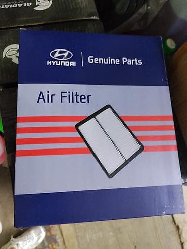 Унаа тетиктери: Оригинальный воздушный фильтр Hyundai - Бренд: Hyundai Genuine Parts — 1