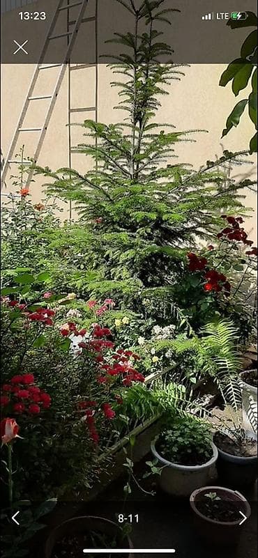 строка продажа домов: 5 соток, Для строительства, Красная книга, Договор купли-продажи — 3