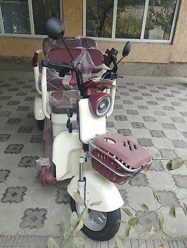 Скутеры: Электрический трёхколёсный скутер 3 ай без процент 3 Айдан 12 айга — 2